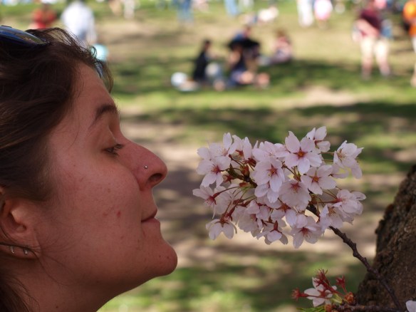 When was the last time that you stopped and smelled the flowers?