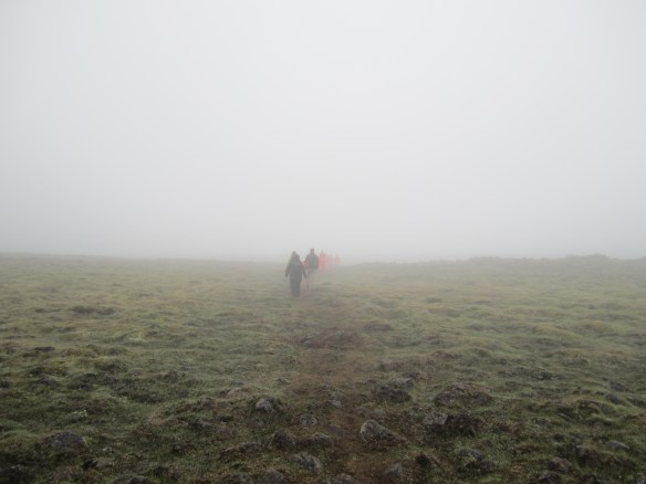 Into the lava field gloom. On a clear day, you should be able to see Reykjavik during this hike.