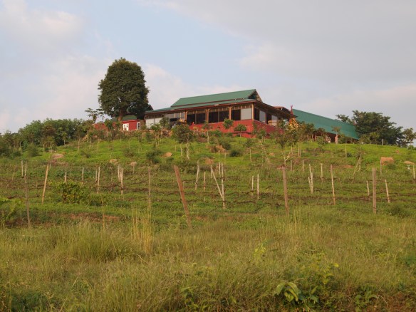 Red Mountain Estate Vineyards & Winery